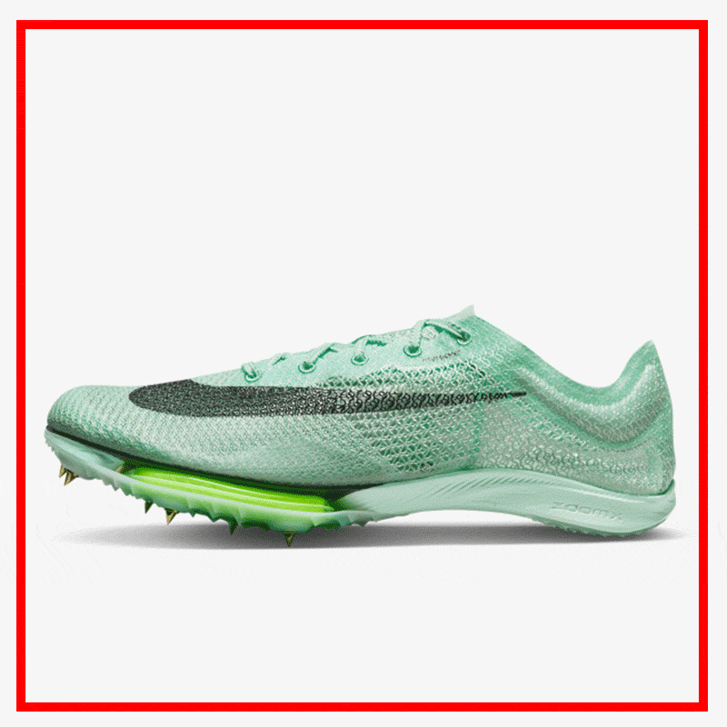 <center><b>SPRINTERICE</center></b>