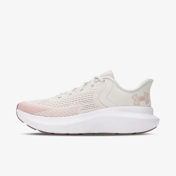 <center><b>Under Armour Charged Rogue 5</center></b>