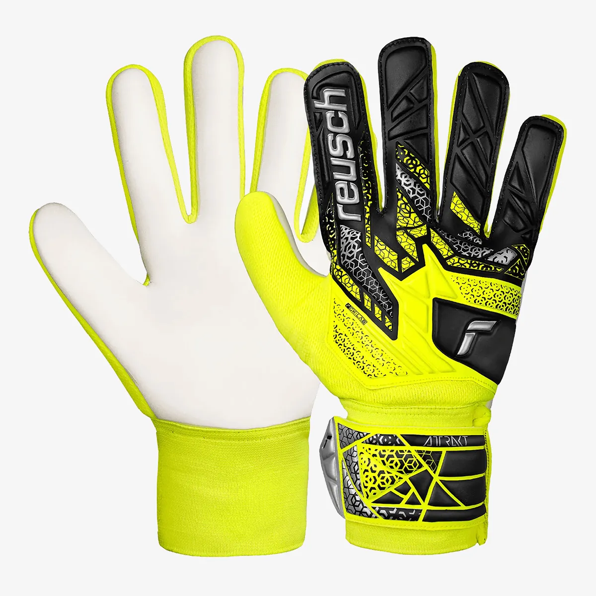 Reusch Attrakt Starter Solid