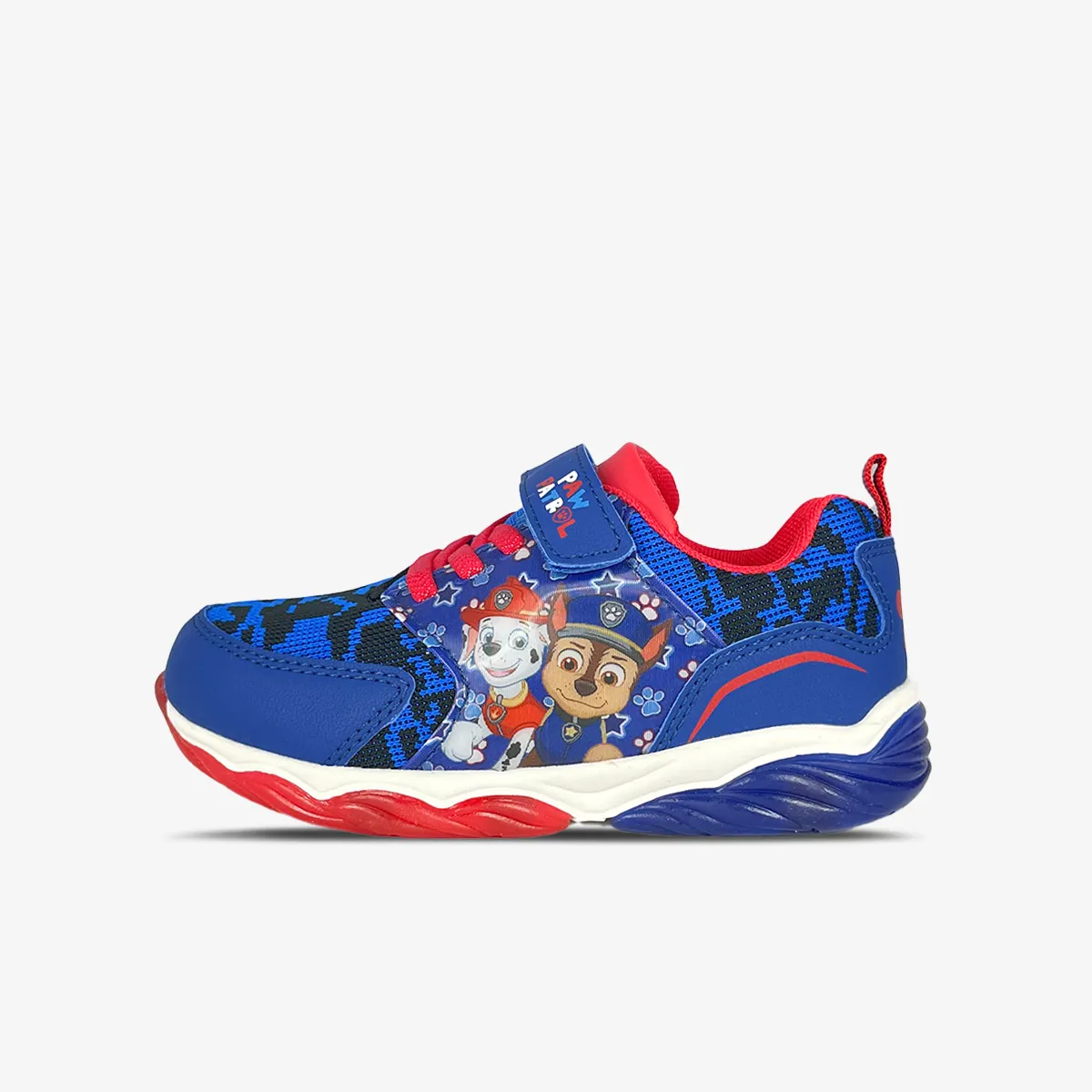 Bds Paw Patrol