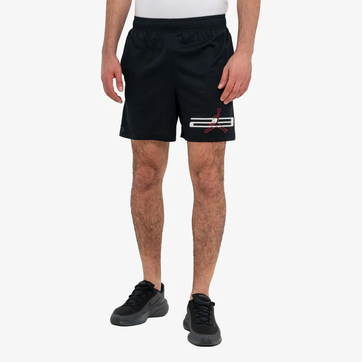 Nike Jordan Dri-Fit Mesh Graphic