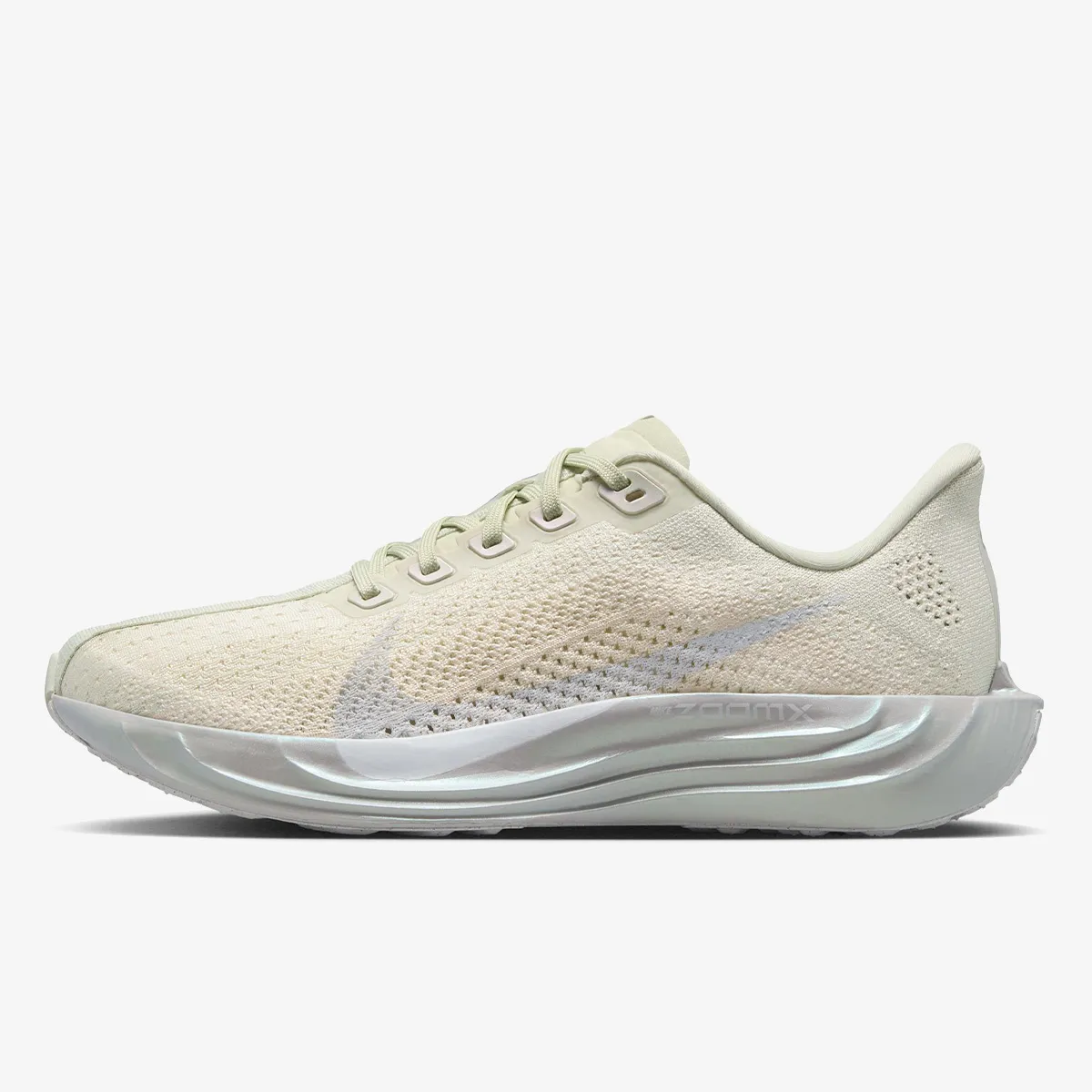 Nike Pegasus Plus