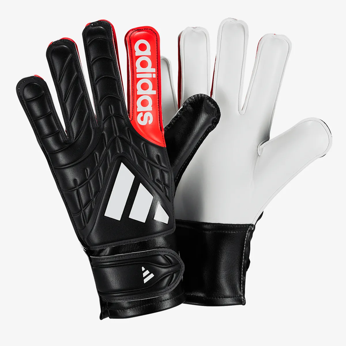 ADIDAS Golmanske rukavice COPA GL CLB J