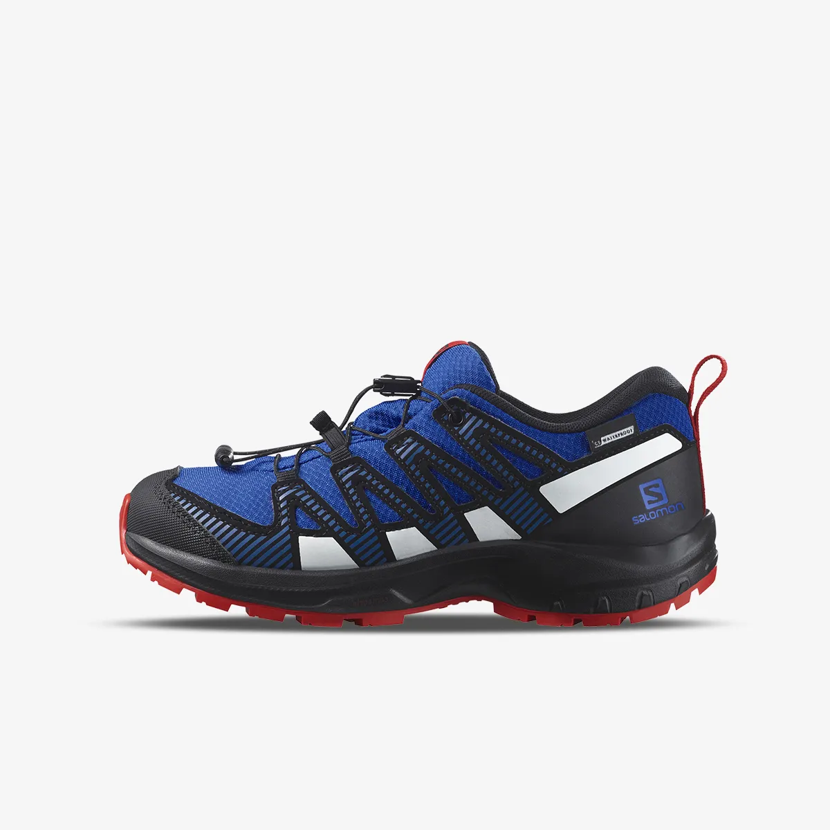 Salomon Xa Pro V8 Cswp patike