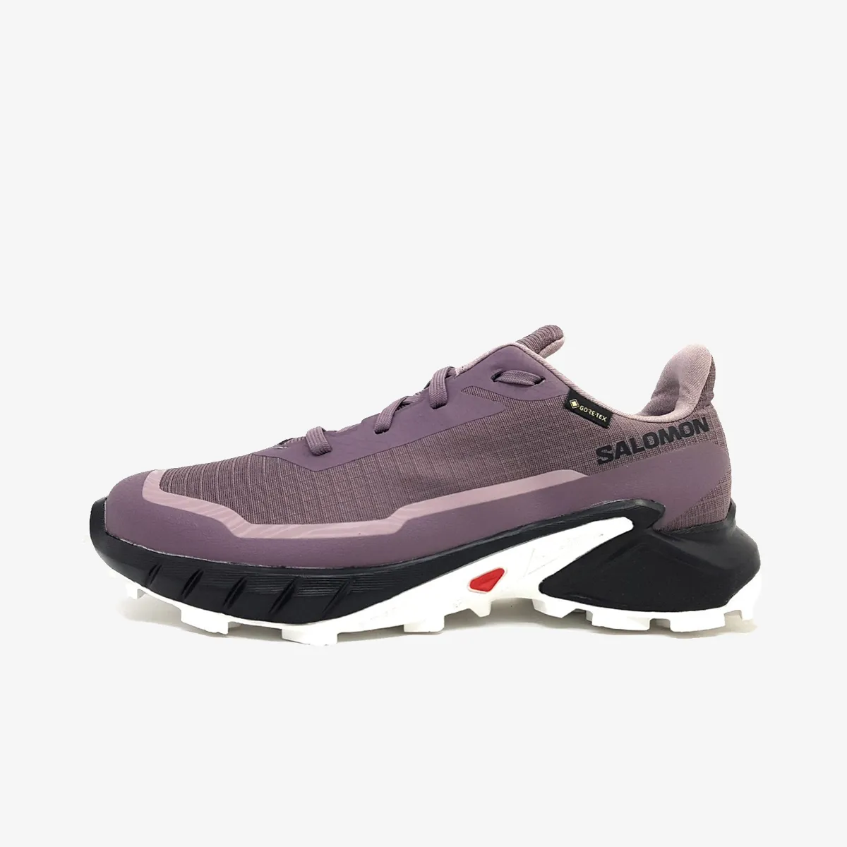 Ženske cipele Salomon ALPHACROSS 5 GTX W