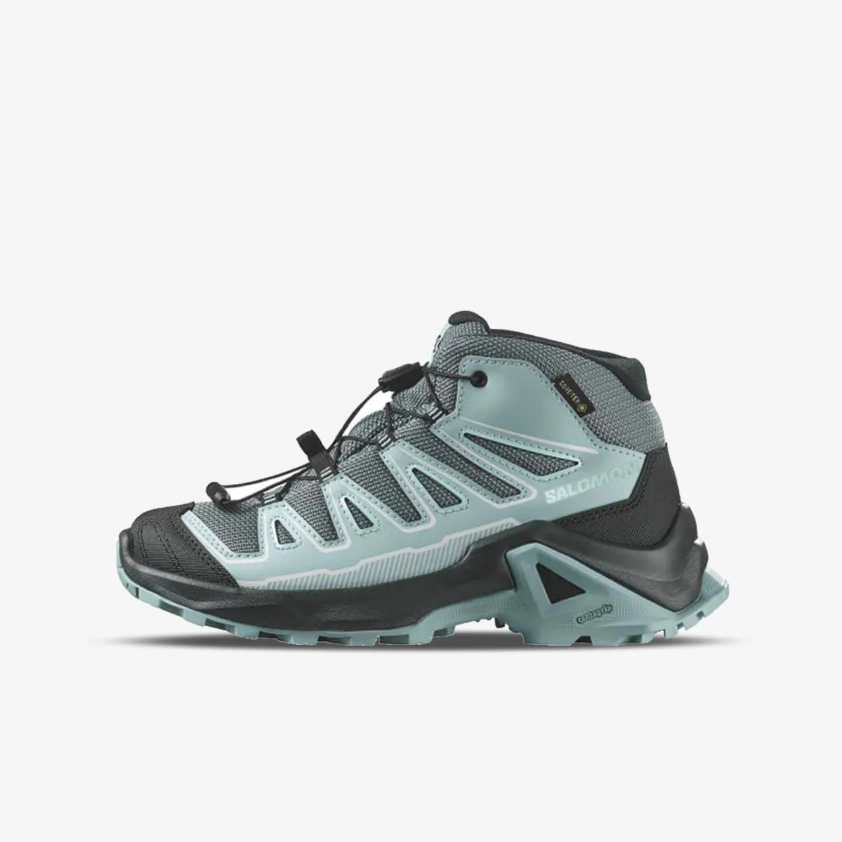 Salomon X Ultra Mid GTX