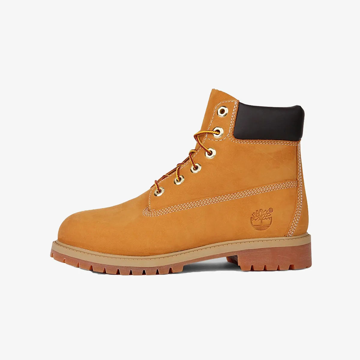 TIMBERLAND Cipele 6 PREMIUM WATERPROOF