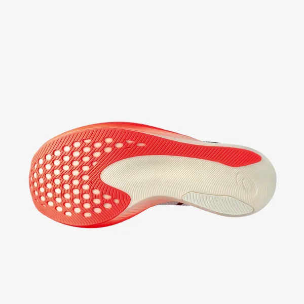 Asics Metaspeed Sky+ 