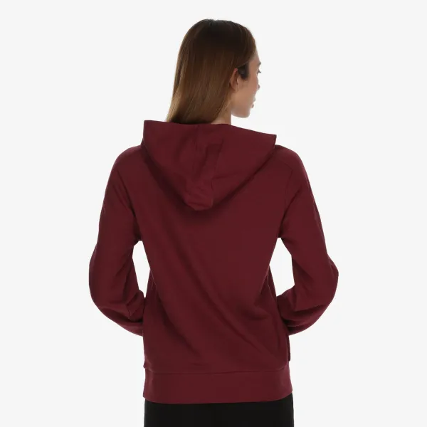 Champion Hooded Sweatshirt 