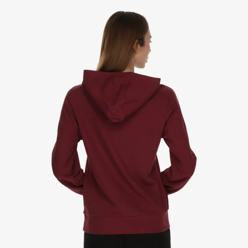 Champion Hooded Sweatshirt 