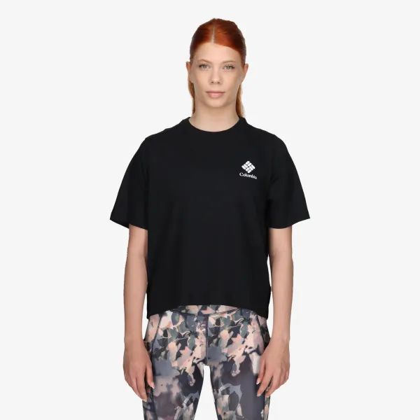 Columbia North Cascades 