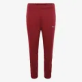 Champion Pants 