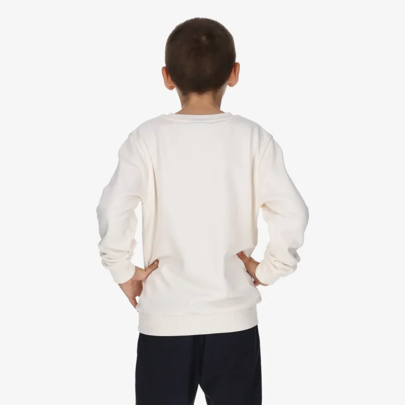 Champion SKATE SWEATER B 