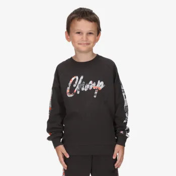 Champion Crewneck Sweatshirt 