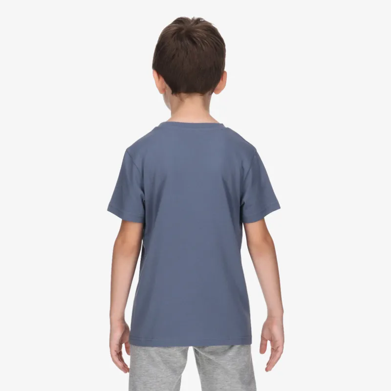 Champion Basic 