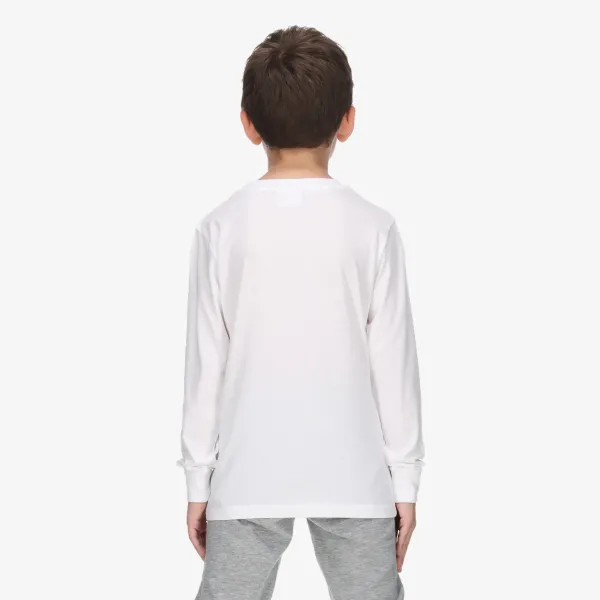 Champion Basic 