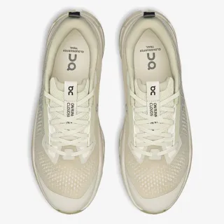 On Cloudsurfer Trail 2 