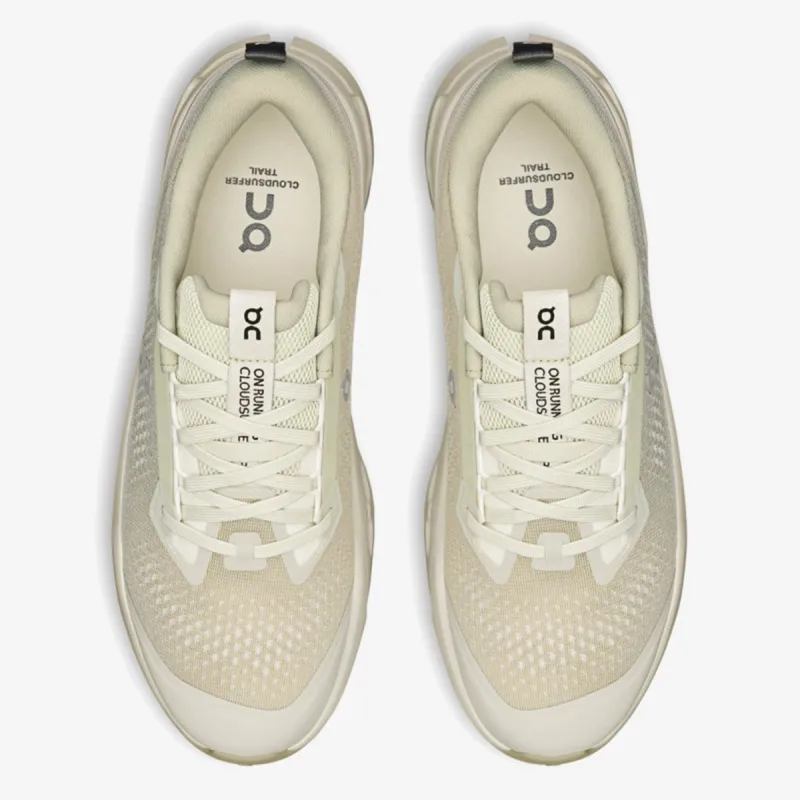 On Cloudsurfer Trail 2 