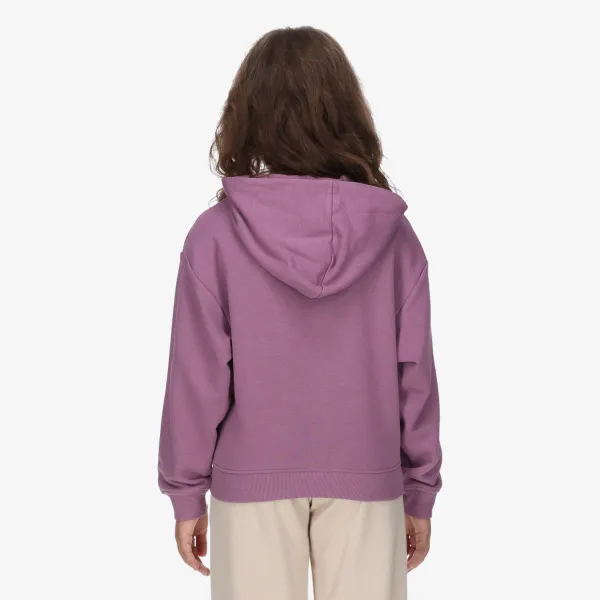Champion Hooded Full Zip Sweatshirt 