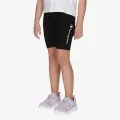 Champion Shorts 