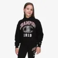 Champion Hooded Sweatshirt 
