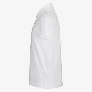 LCG SCALLOP COLLAR POLO 