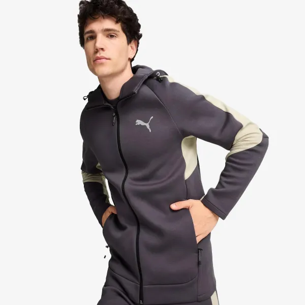 Puma PUMA EVOSTRIPE Full-Zip Hoodie DK 