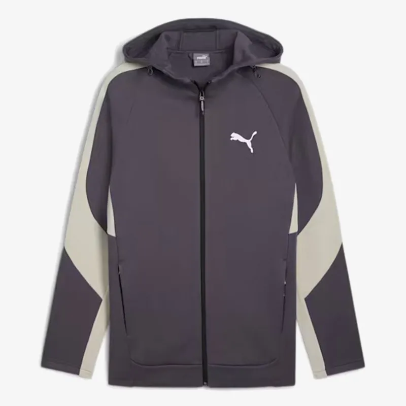 Puma PUMA EVOSTRIPE Full-Zip Hoodie DK 