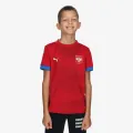 Puma FSS Home Jersey Replica 