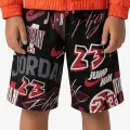 Nike Jordan Dynasty 