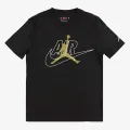 Nike Jumpman Air Swoosh 