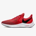 Nike NIKE ZOOM WINFLO 6 