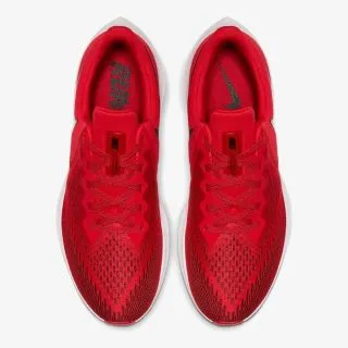 Nike NIKE ZOOM WINFLO 6 