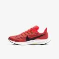 Nike NIKE AIR ZOOM PEGASUS 36 GS 