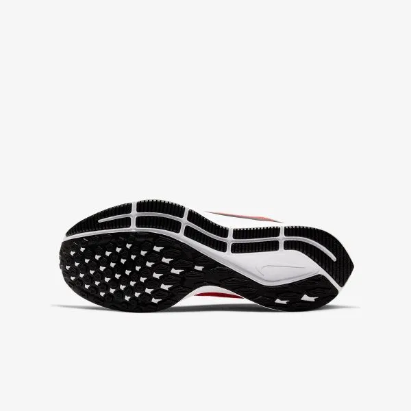 Nike NIKE AIR ZOOM PEGASUS 36 GS 