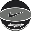 Nike DOMINATE (5) 