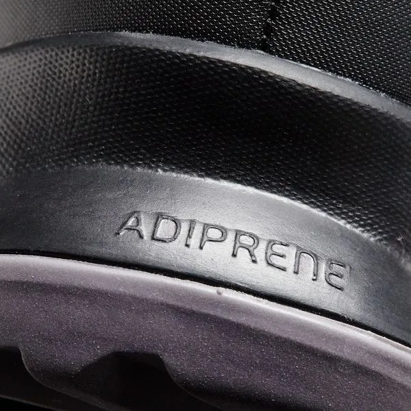 adidas TERREX AX2R MID GTX W 