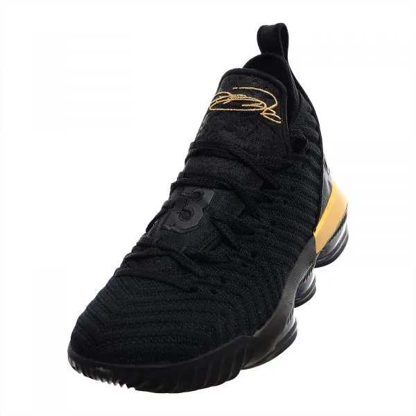 Nike LEBRON XVI 