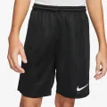 Nike Dri-FIT Park III 