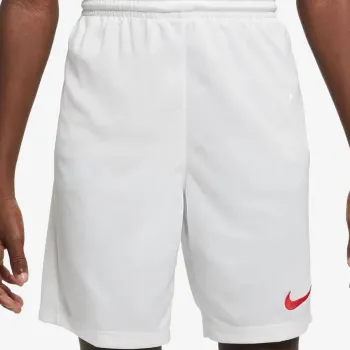 Nike Y NK DF PARK III SHORT NB K 