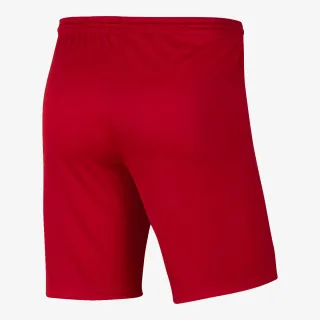 Nike Y NK DF PARK III SHORT NB K 