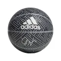 adidas HARDEN SIG BALL 