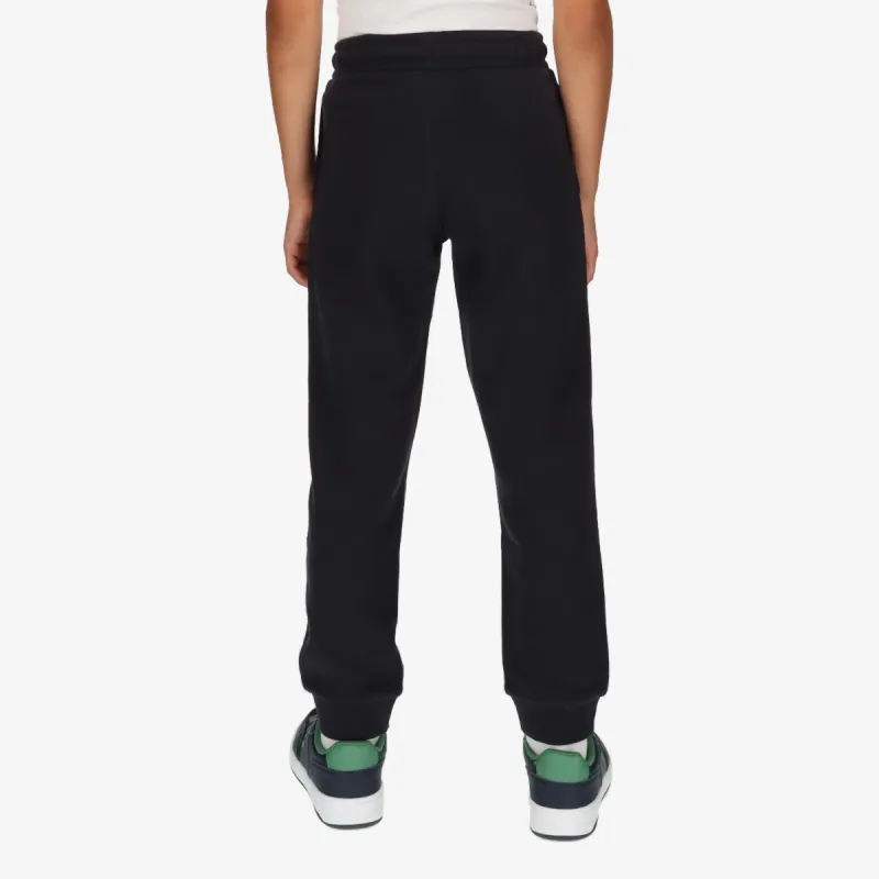 Champion ROCH INSPIRED 