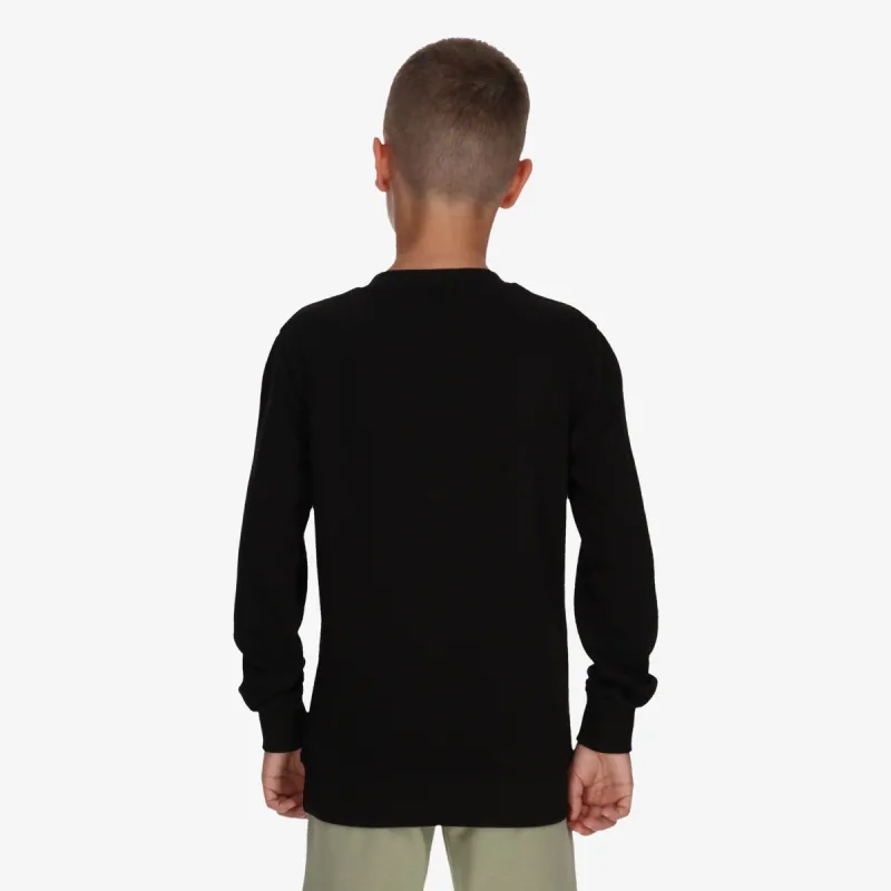 Champion COLLEGE LOGO 