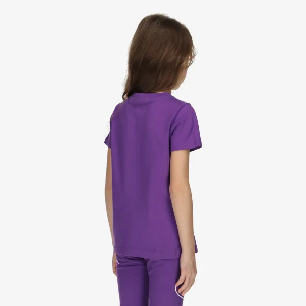 Champion Drawing Logo 