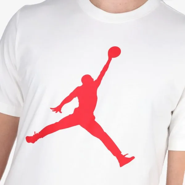 Nike Jordan Jumpman Men's T-Shirt 