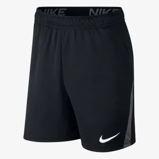 Nike Dri -FIT Men's Training Shorts 