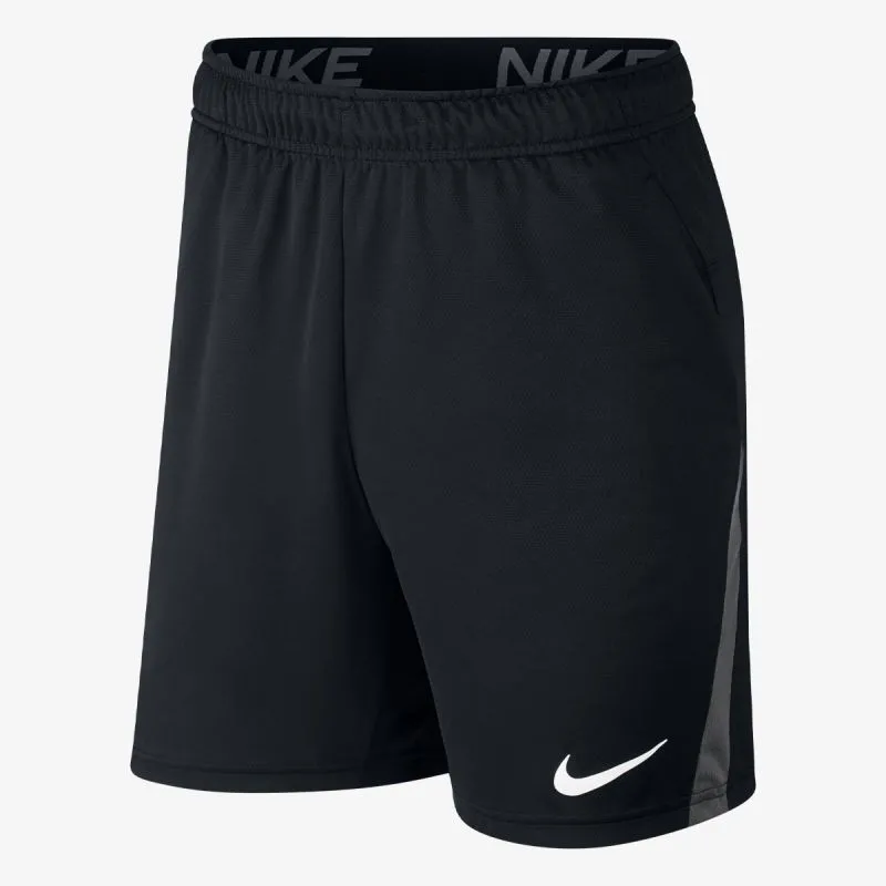 Nike Dri -FIT Men's Training Shorts 