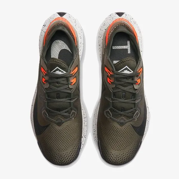 Nike Pegasus Trail 2 