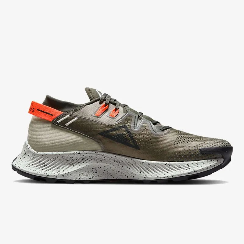 Nike Pegasus Trail 2 
